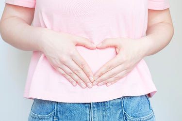 LBB2 Digestion